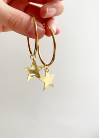 Star Drop Hook Earring